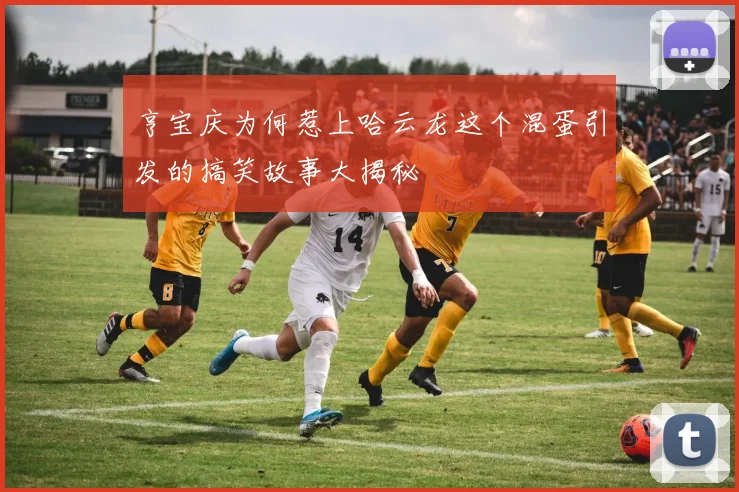 亨宝庆为何惹上哈云龙这个混蛋引发的搞笑故事大揭秘