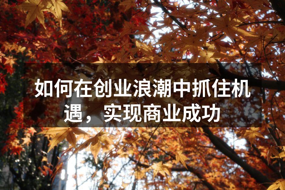 如何在创业浪潮中抓住机遇，实现商业成功